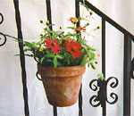 Hang pots on stairway railings.