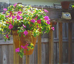 Hang pots on exterior or interior walls.