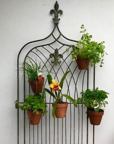 Vertical Garden Design Products