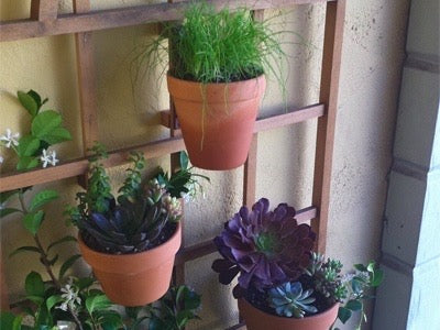 "Hangapot™️ Terra Cotta Flower and Orchid Pot Hangers | Secure 4-10" Clay Pots | Install in Seconds any where | Made in America"