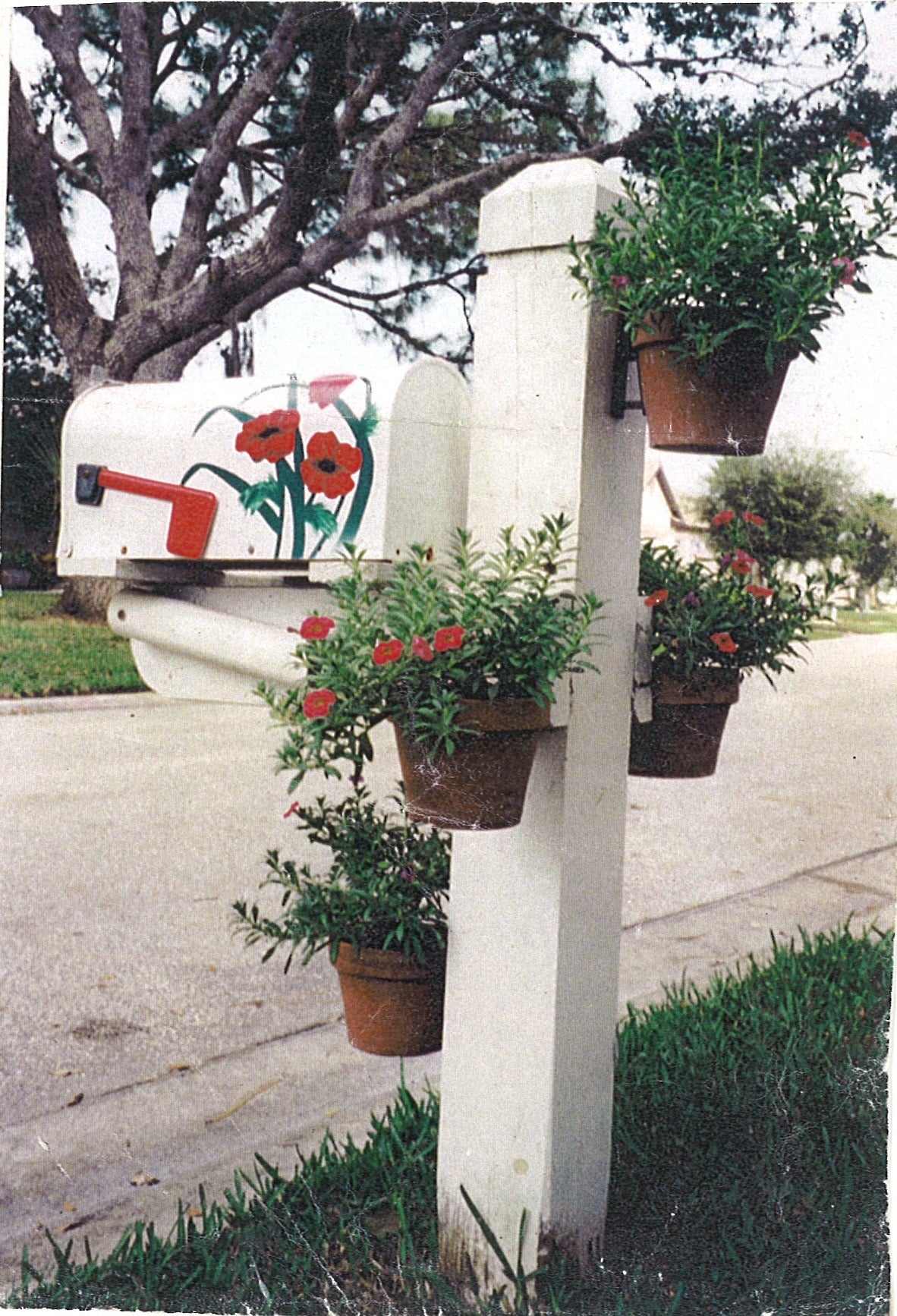 "Hangapot™️ Terra Cotta Flower and Orchid Pot Hangers | Secure 4-10" Clay Pots | Install in Seconds any where | Made in America"