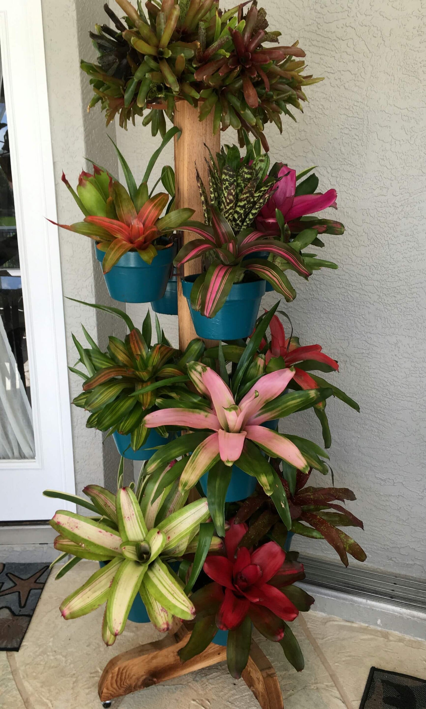 Hangapot™ Space Saving 5' Plant Stand on Wheels - Handcrafted Douglas Fir/ 16 Clay Pot Hangers - Indoor/Outdoor Vertical Garden for Limited Spaces"
