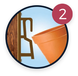festuca icon