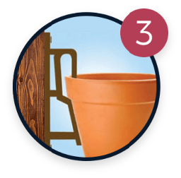 festuca icon
