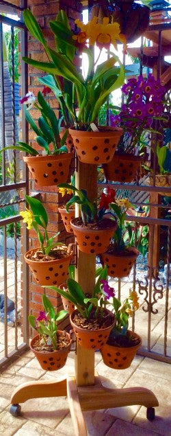 Wrought Iron Enclosed patio with a hangapot mobile plant stand with 12 cattlya orchid in orchid pots secured by hangapot hangers