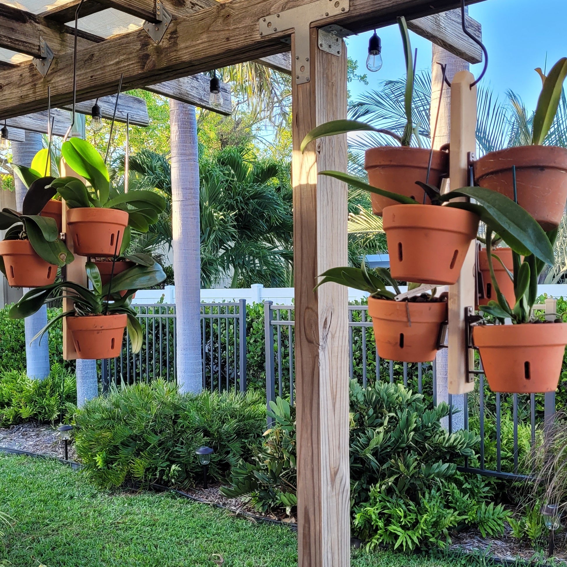 hanging plant pots for trellis Cedar Vertical Garden Plank – 6 Clay Pot Hangers