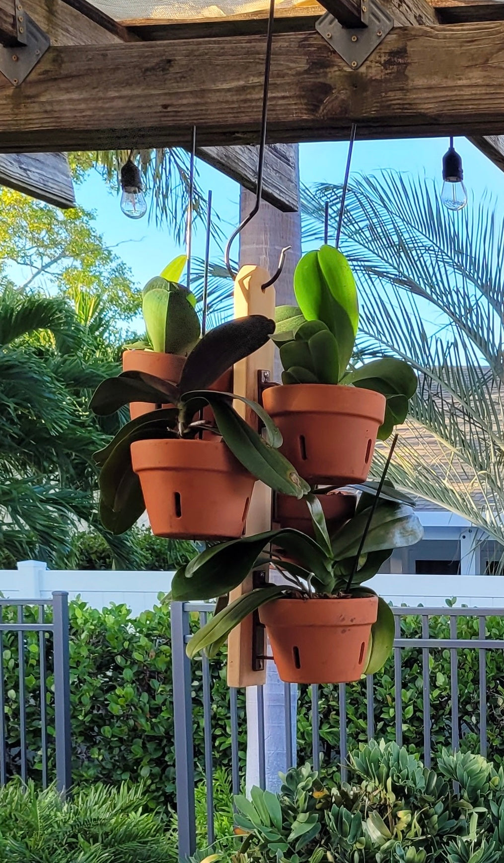 Cedar Vertical Garden Plank – 6 Clay Pot Hangers