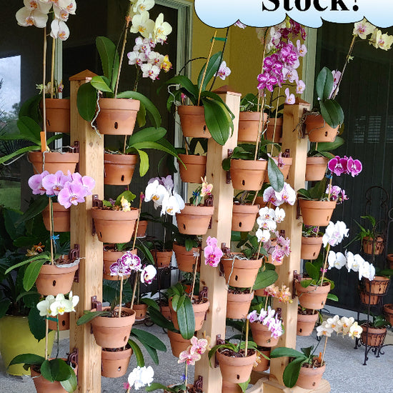 Picture of hangapot flower pole on wheels 
